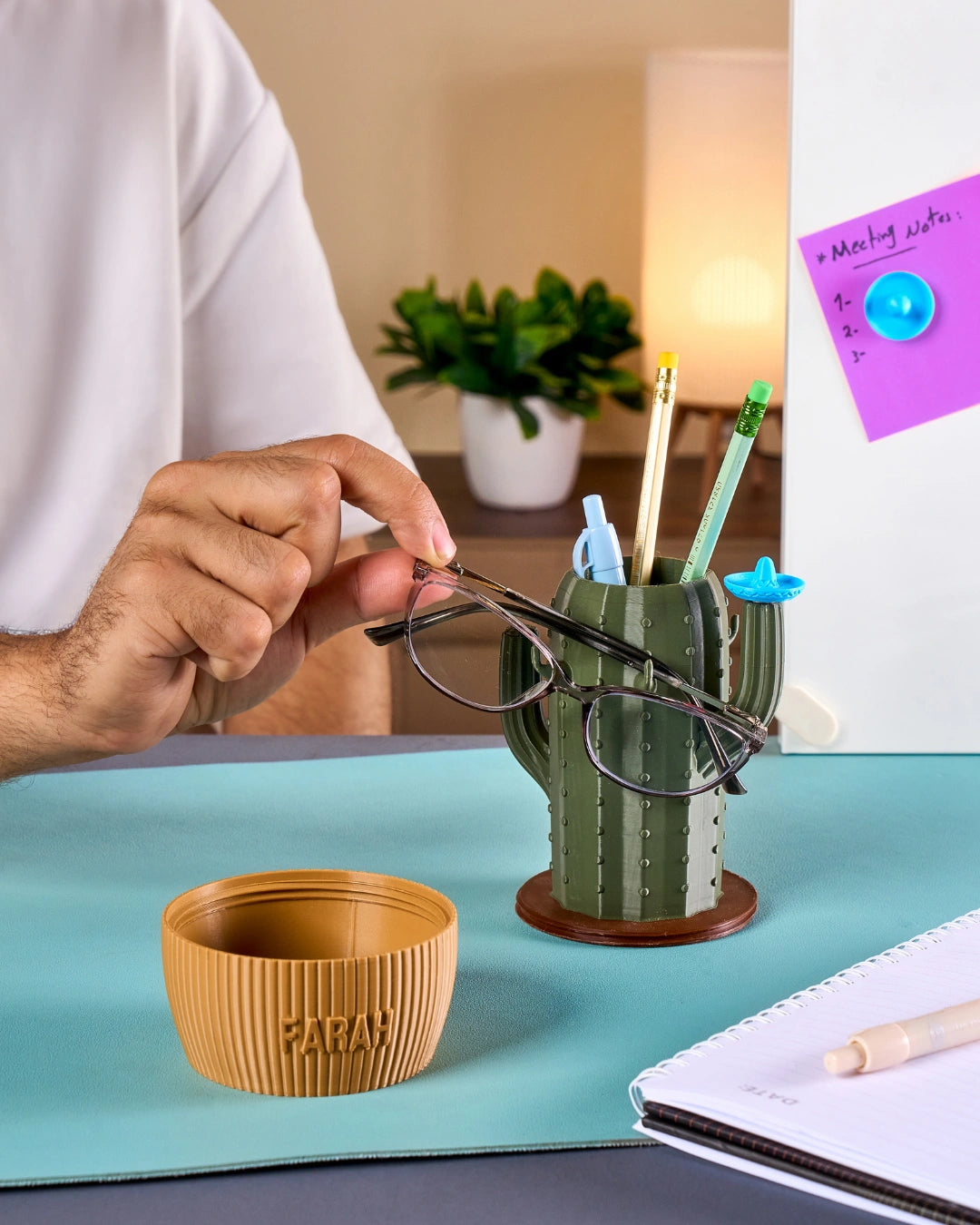 Cactus-Dock Holder