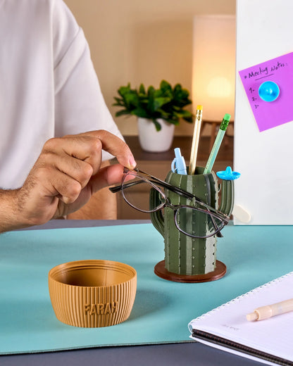 Cactus-Dock Holder