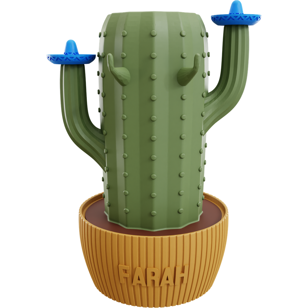 Cactus-Dock Holder