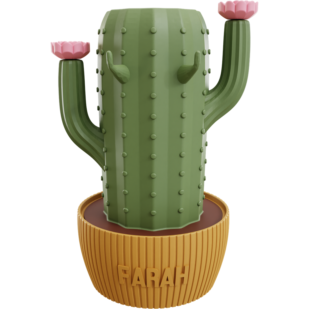 Cactus-Dock Holder