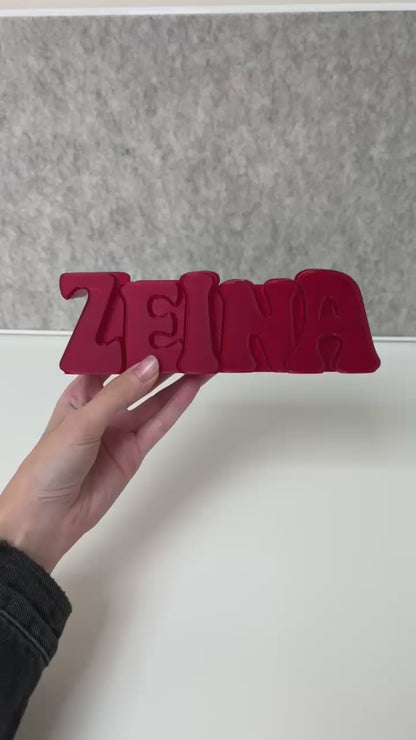 Limited Edition Color 3D Desk Name Tag Pen Holder