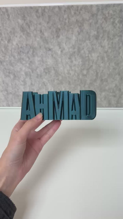 Limited Edition Color 3D Desk Name Tag Pen Holder